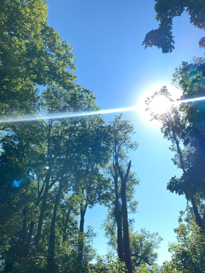 Maissemy Domaine De Vadancourtヴィラ エクステリア 写真