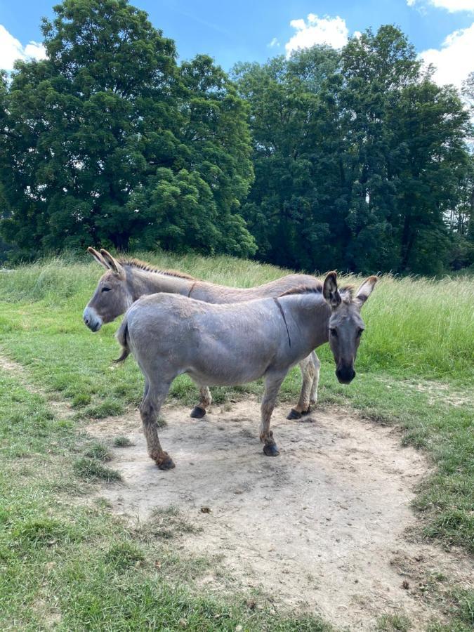 Maissemy Domaine De Vadancourtヴィラ エクステリア 写真
